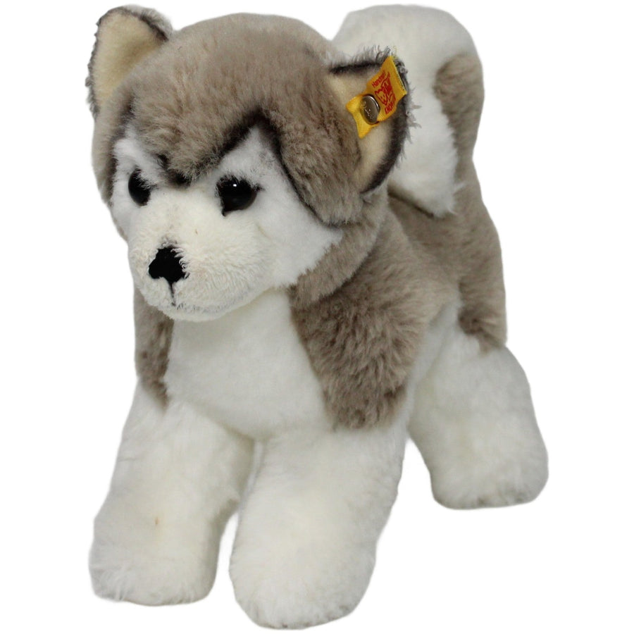Bernie Husky (104985), stehend