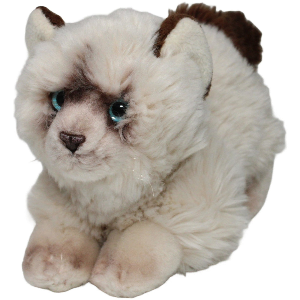 123000020983 Uni - Toys Leosco, liegende Perserkatze Kuscheltier Kumpel Leo 22cm Braun ebay - stofftiere