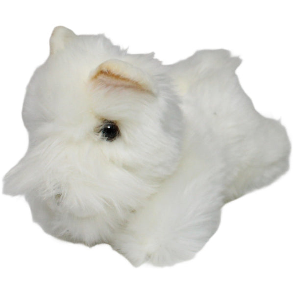 Miyoni by Aurora, weißer Westie liegend