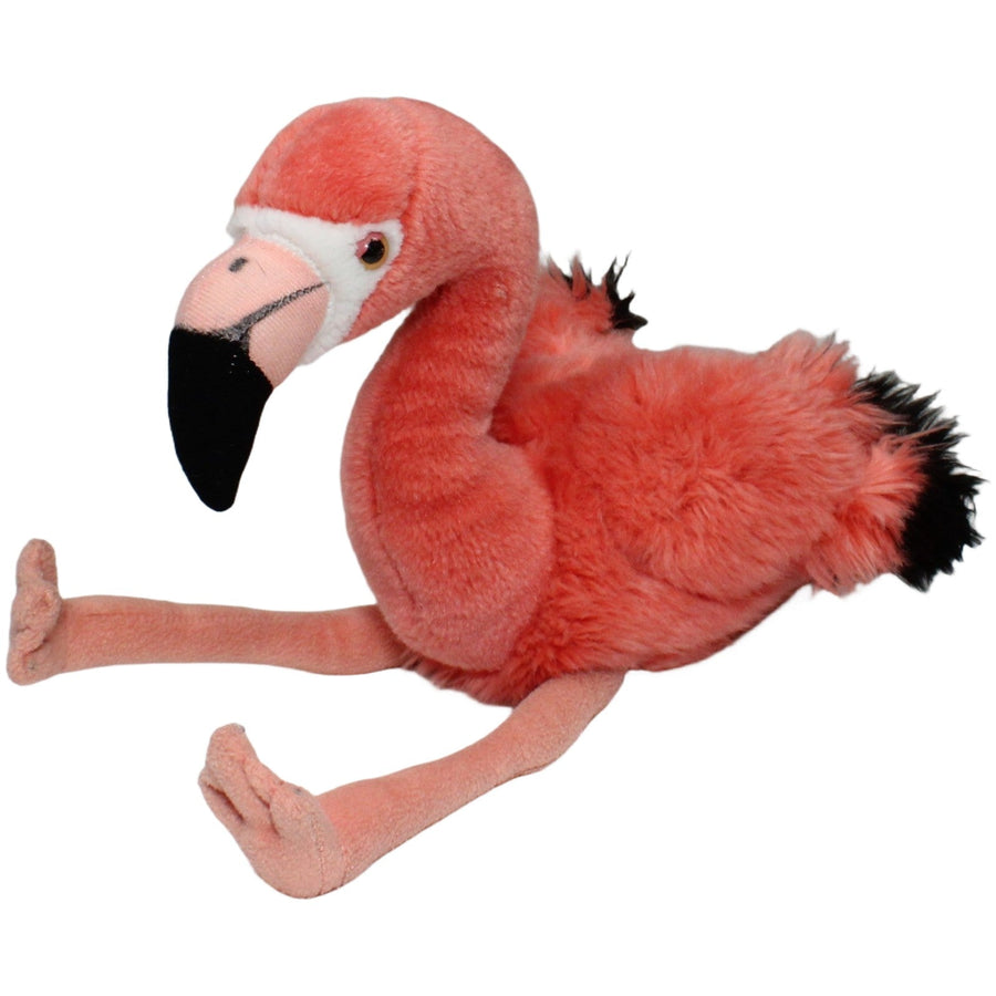 Hübscher Flamingo