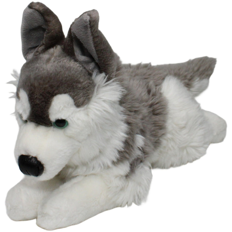 Großer Husky, liegend