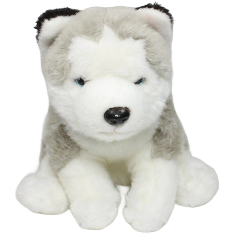 Husky mit Halsband, sitzend