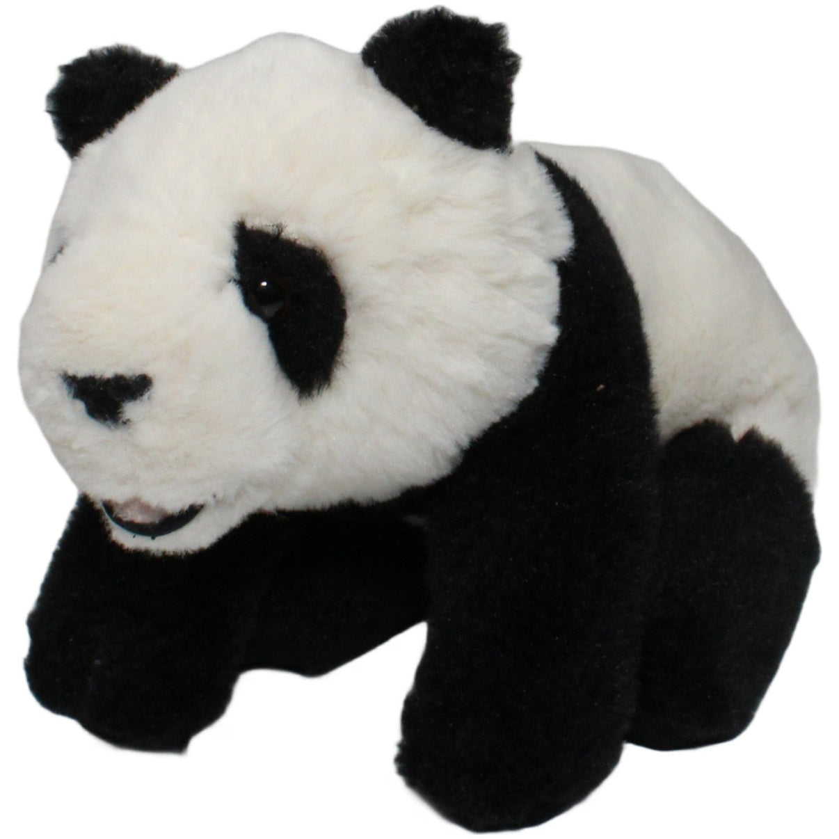 123000021232 Keel Toys Süßer Panda, stehend Kuscheltier Kumpel Leo 25cm ebay - stofftiere Gebraucht