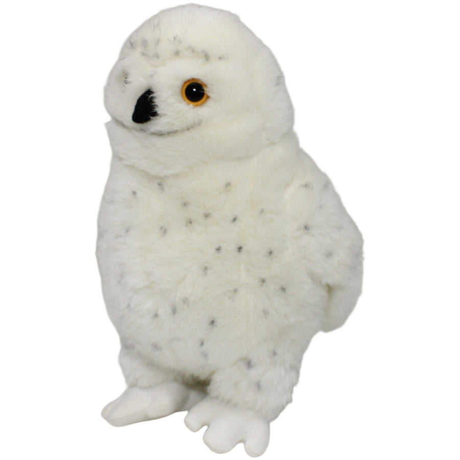 Schneeeule, stehend