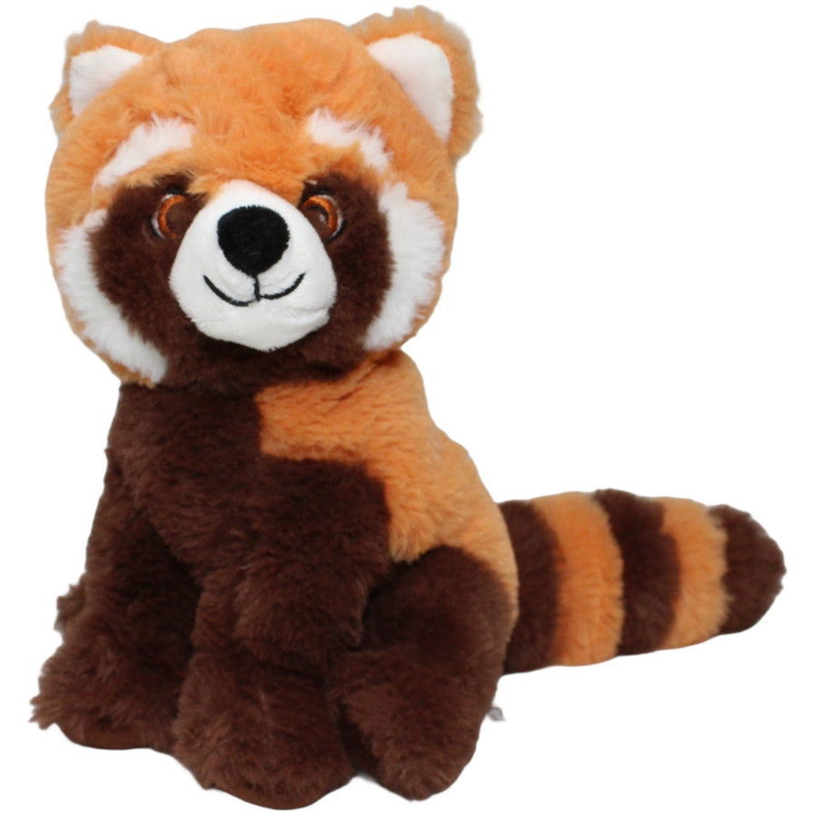 Roter Panda, sitzend
