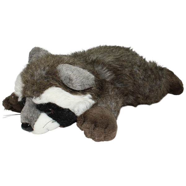 Liegender Waschbär mit struppigem Fell