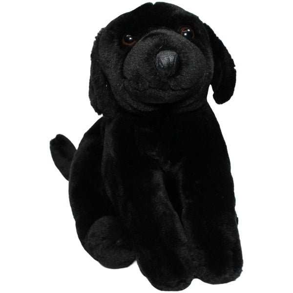 Schwarzer Labrador, liegend