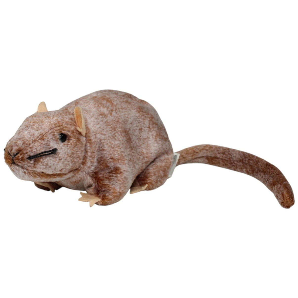 123000021532 TY Beanie Baby, Ratte Tiptoe Kuscheltier Kumpel Leo 15cm 1999 _Vintage_