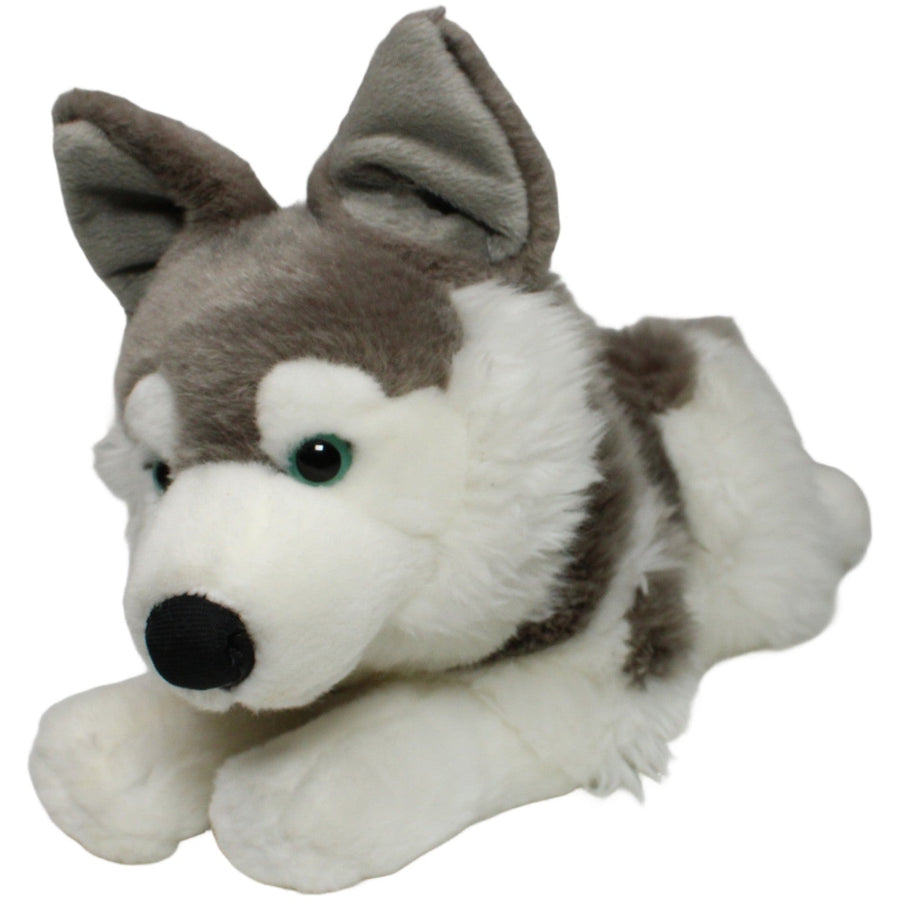 Leosco, großer liegender Husky