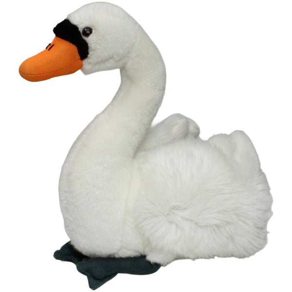 Schöner Schwan