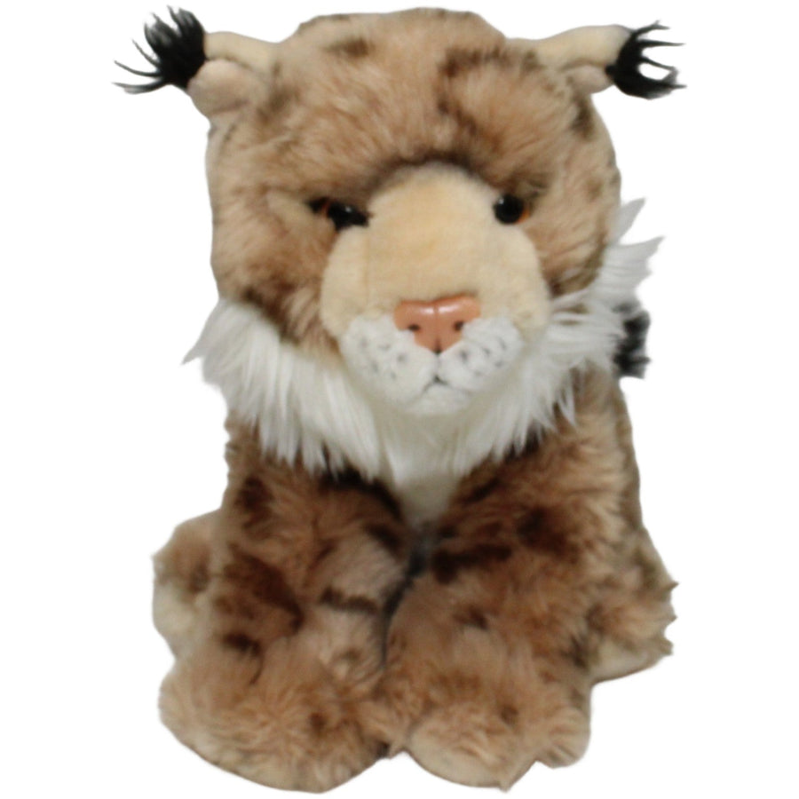 Schöner Luchs, sitzend