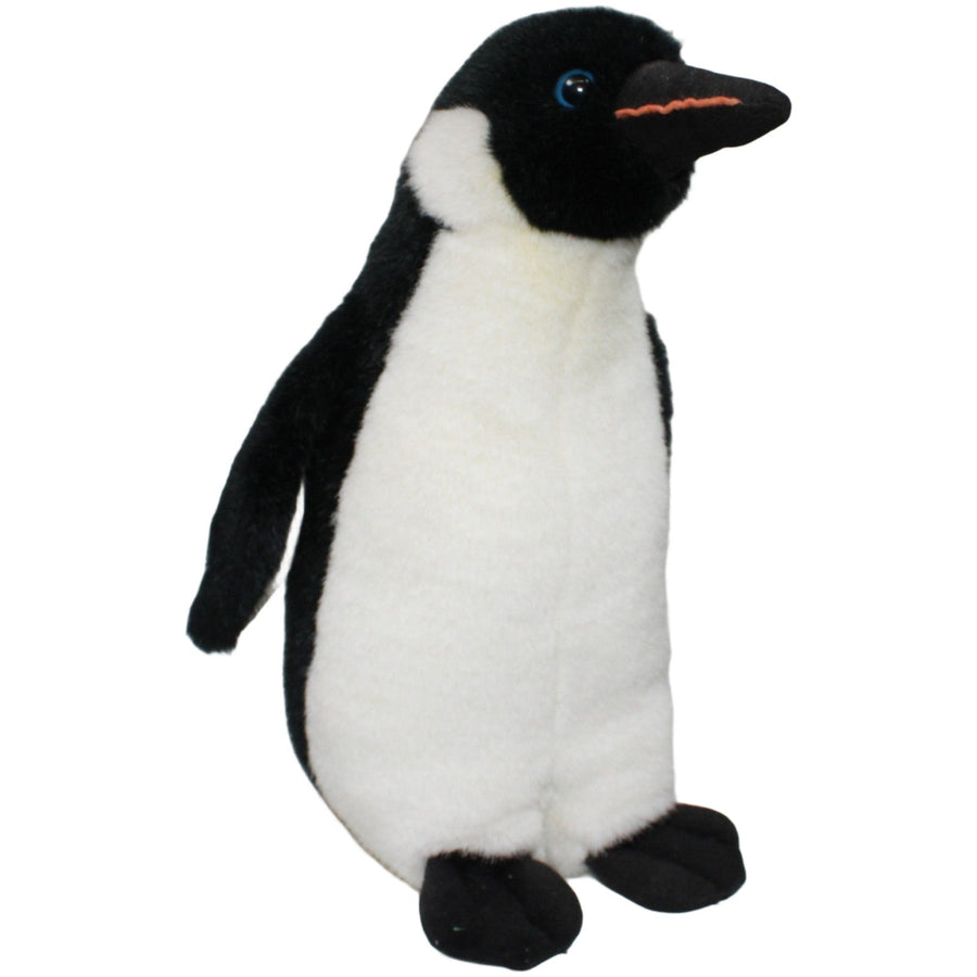 Hübscher Kaiserpinguin