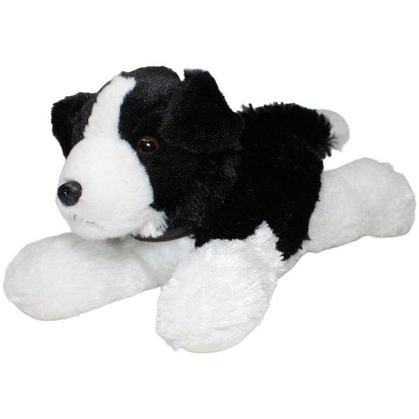 Border Collie mit Leine