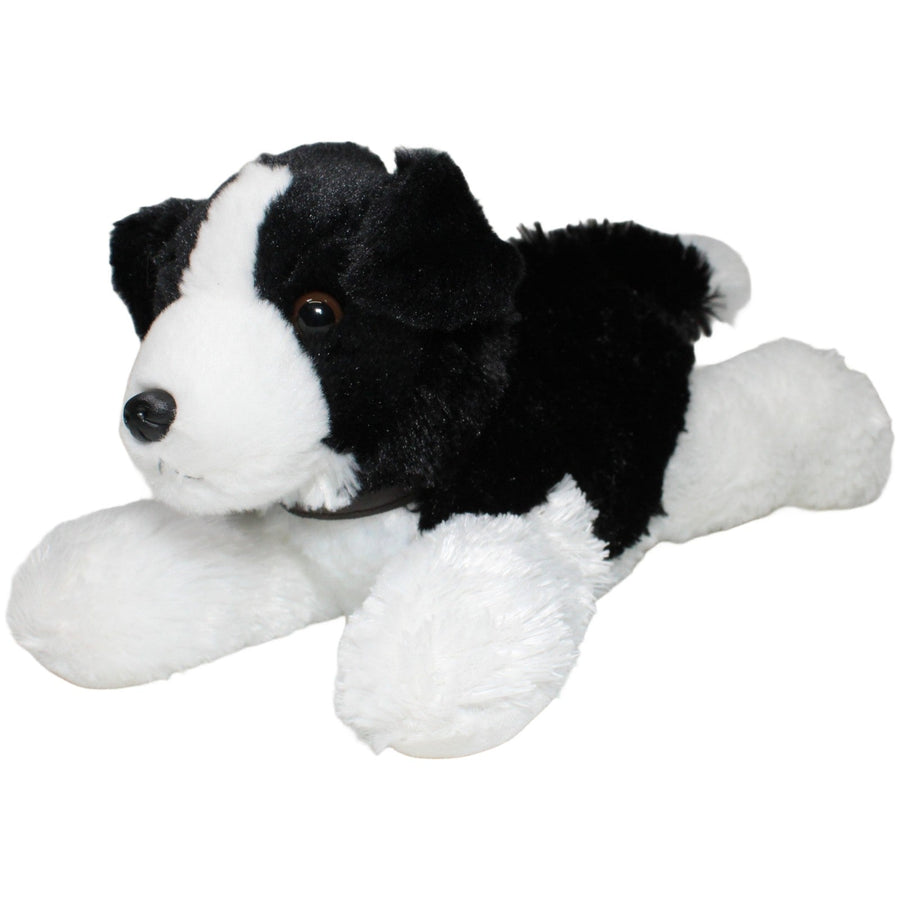 Border Collie mit Leine
