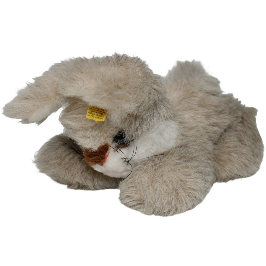 Hase Junior (2882/25)