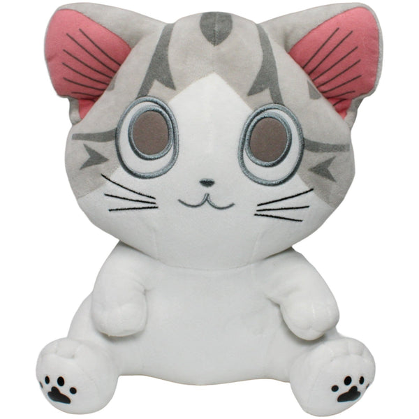 Kleine Katze Chi