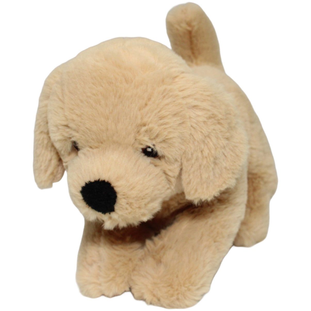 123000021866 Aurora Eco Nation, superweicher Labrador Welpe Kuscheltier Kumpel Leo 23cm Beige ebay - stofftiere