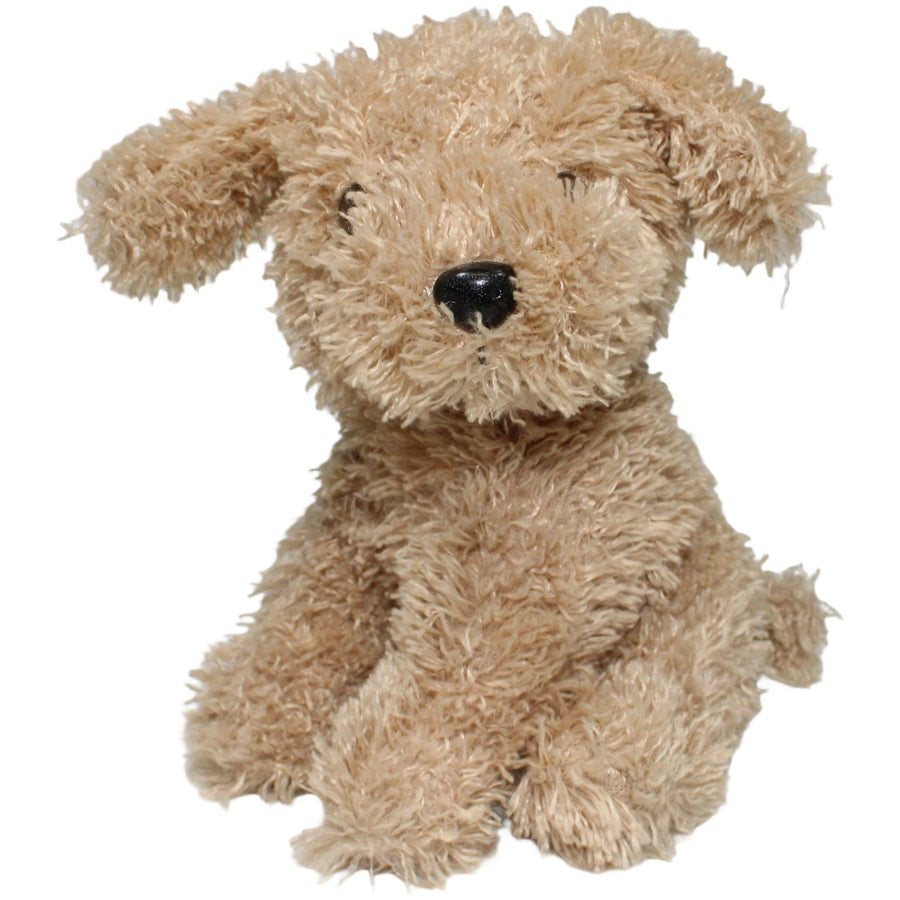 Zotteliger Hund, beige