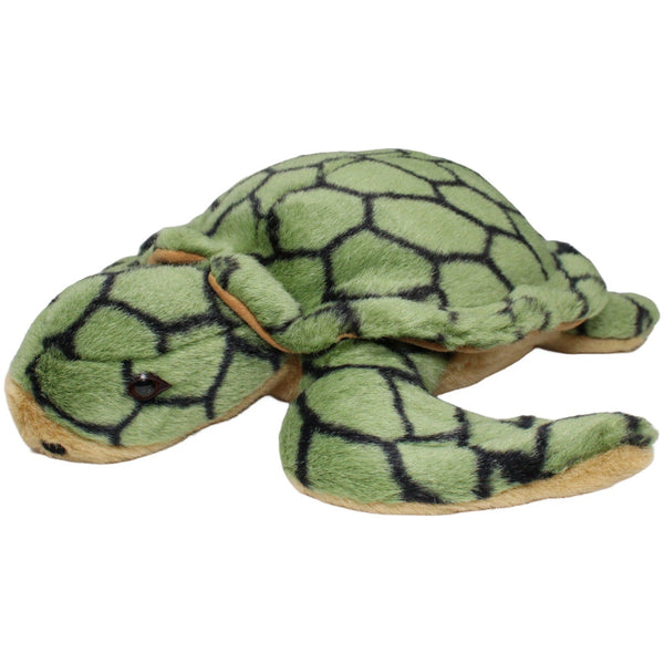 Hübsche Schildkröte