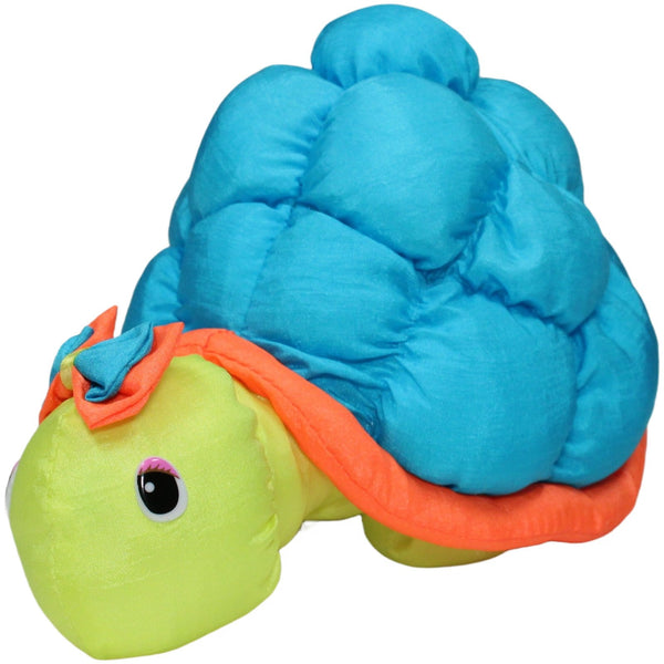 Süße knautschige Schildkröte mit blauem Panzer