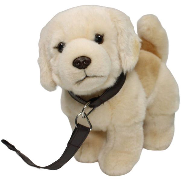 Hund, Labrador mit Leine