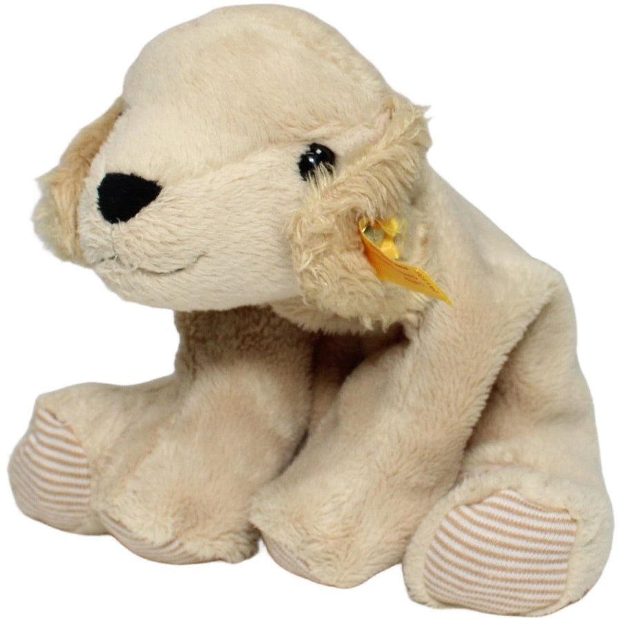 Golden Retriever Lumpi (281105)