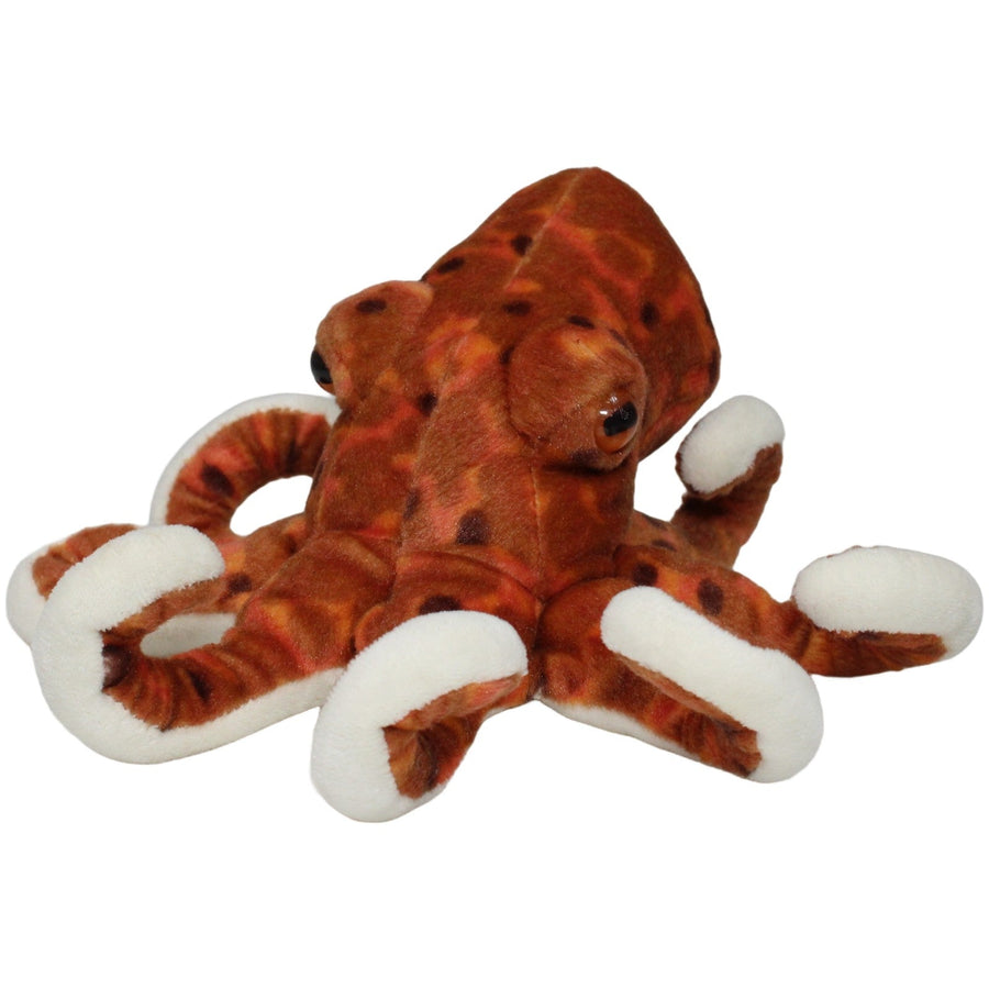 Oktopus, braun