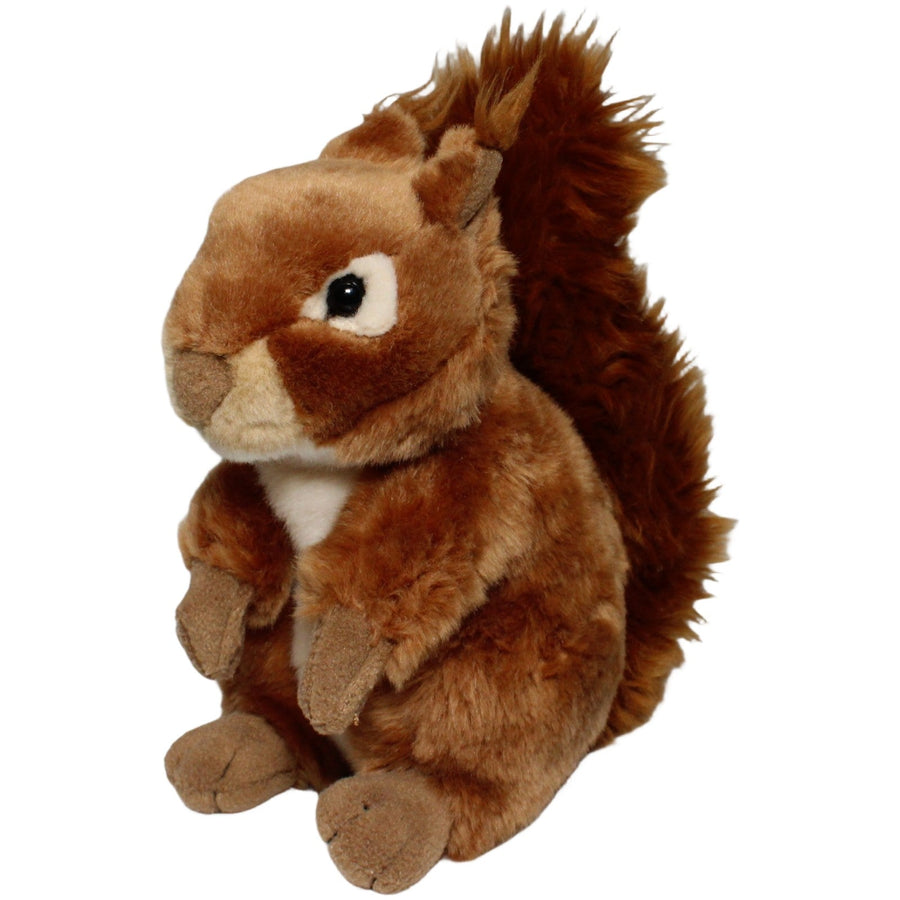 Hübsches Eichhörnchen