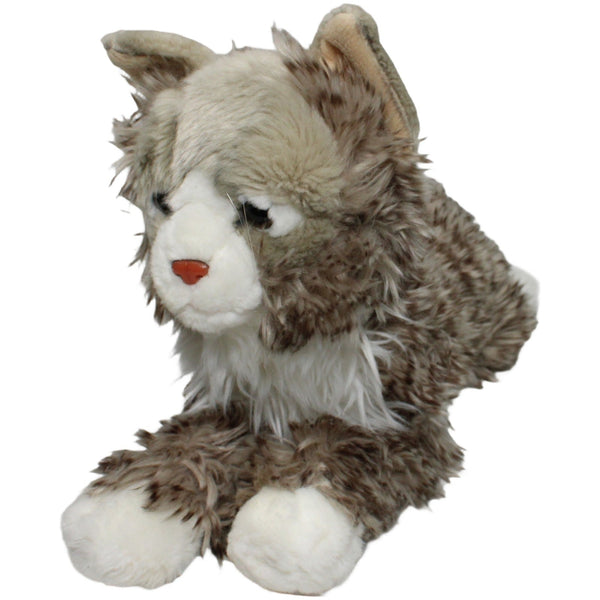 XL Maine Coon Katze, liegend