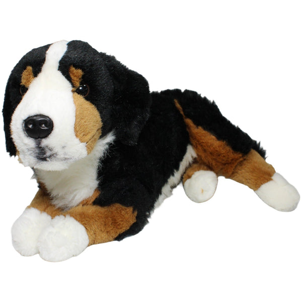 XL Berner Sennenhund, liegend