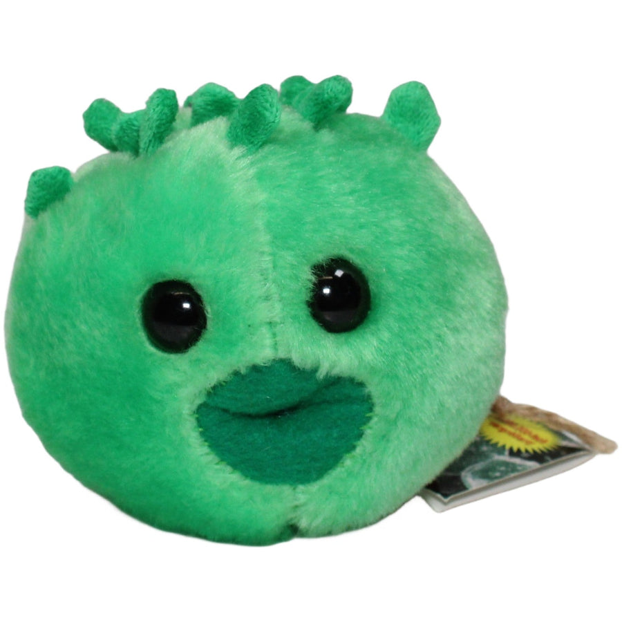 Chlamydia