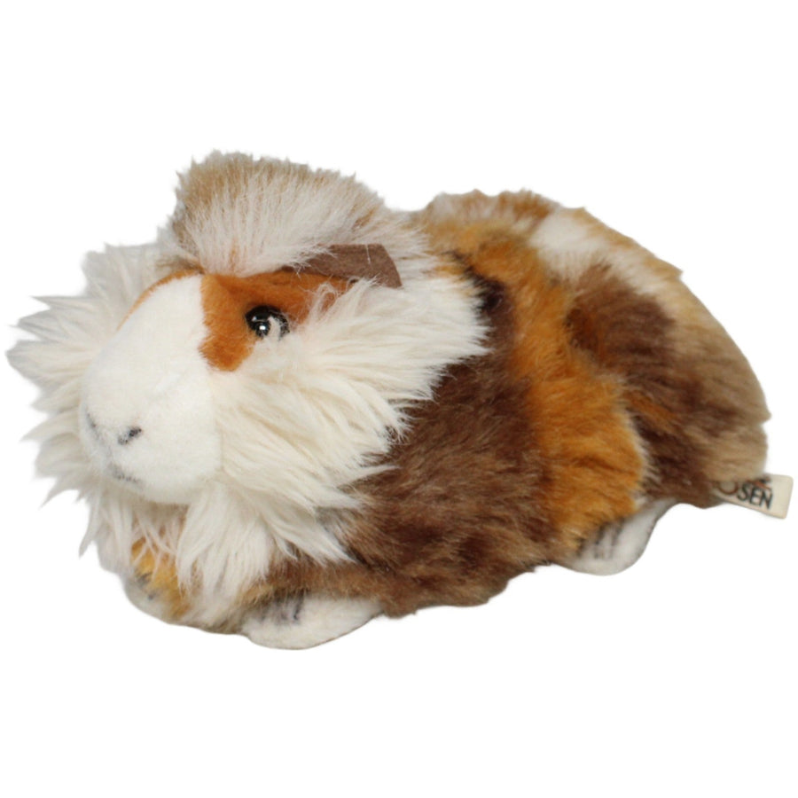 KÖSEN, mehrfarbiges Langhaar-Meerschweinchen