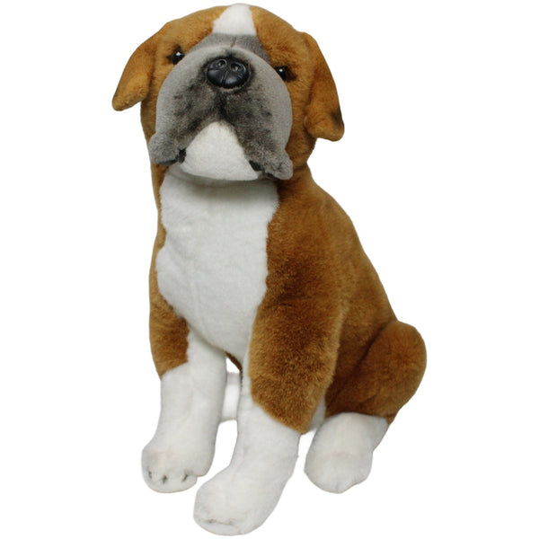 Hübscher großer Boxer, sitzend