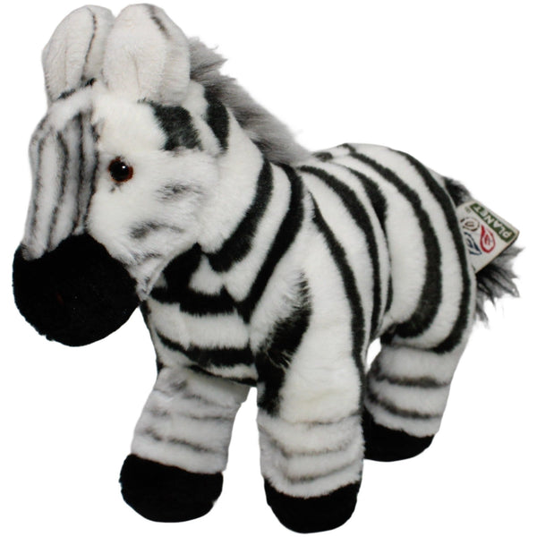 Plan, stehendes Zebra