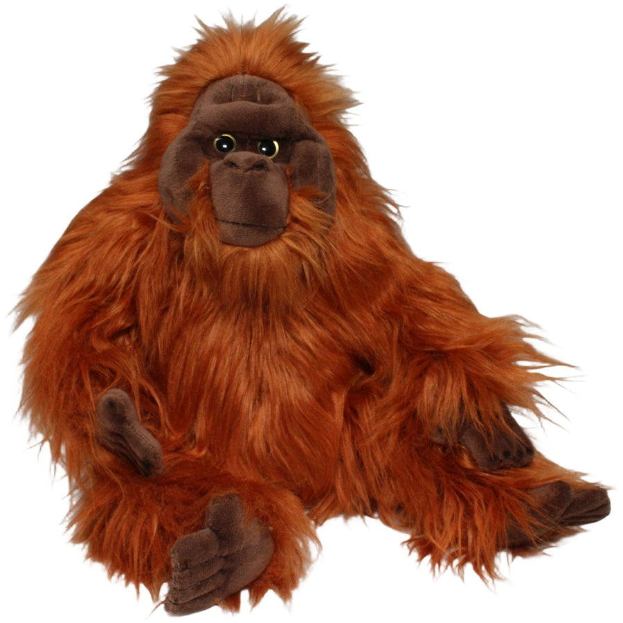 Schöner Orang-Utan