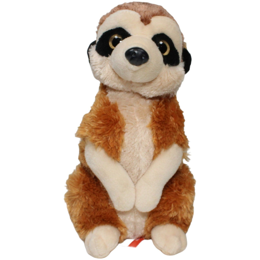 Erdmännchen mit zotteligem Fell, stehend