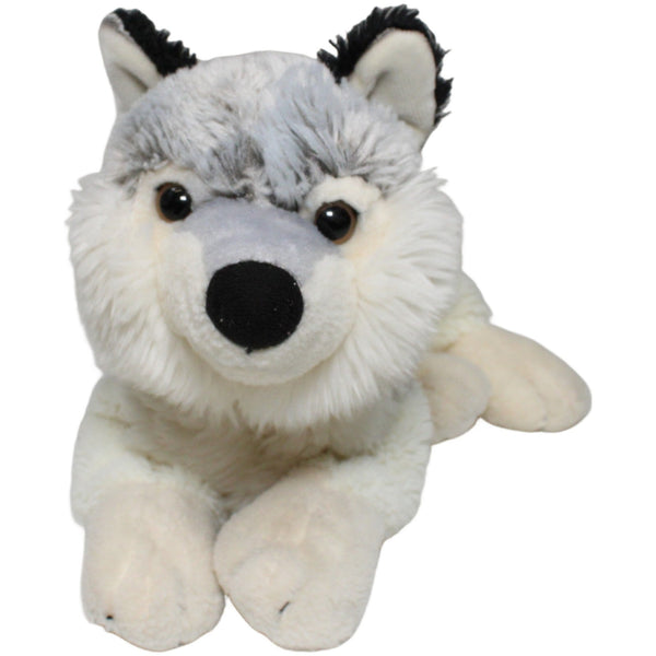 Hübscher größer Wolf, liegend