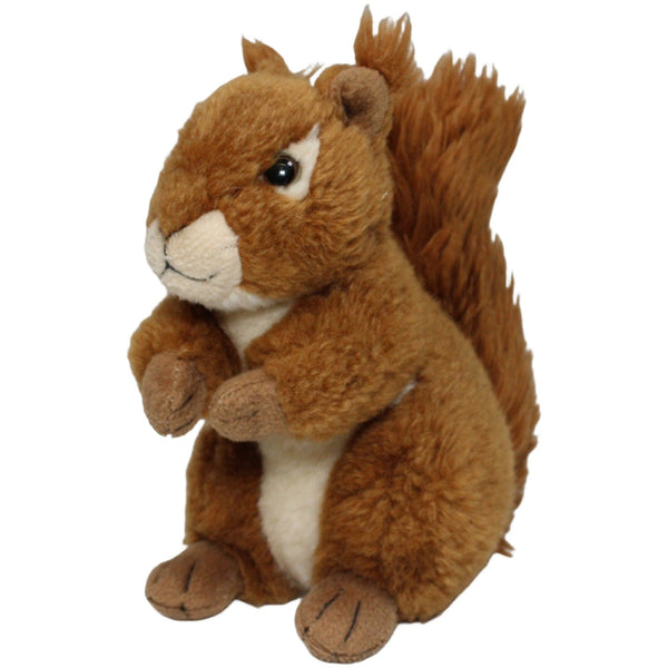 Eichhörnchen