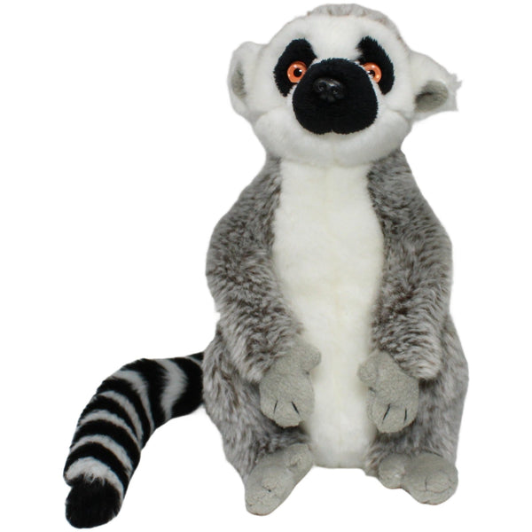 Süßer Lemur
