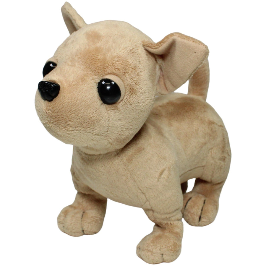 Süßer Chihuahua