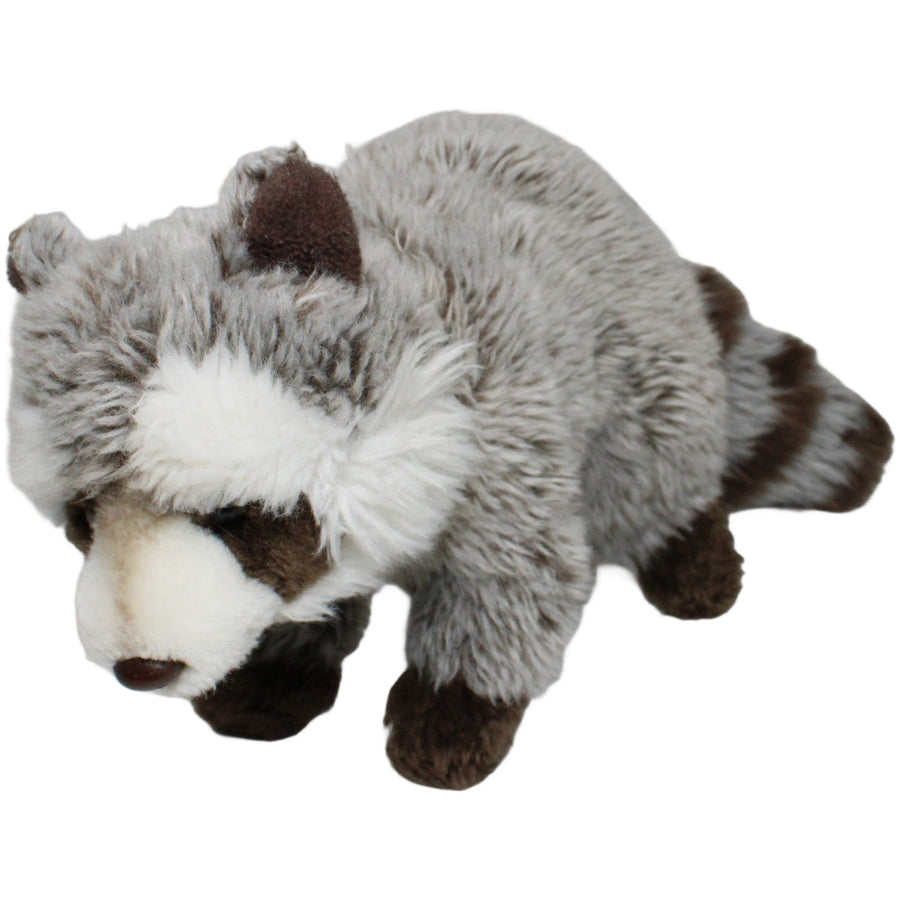 Süßer Waschbär
