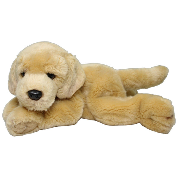 Süßer Golden Retriever Welpe