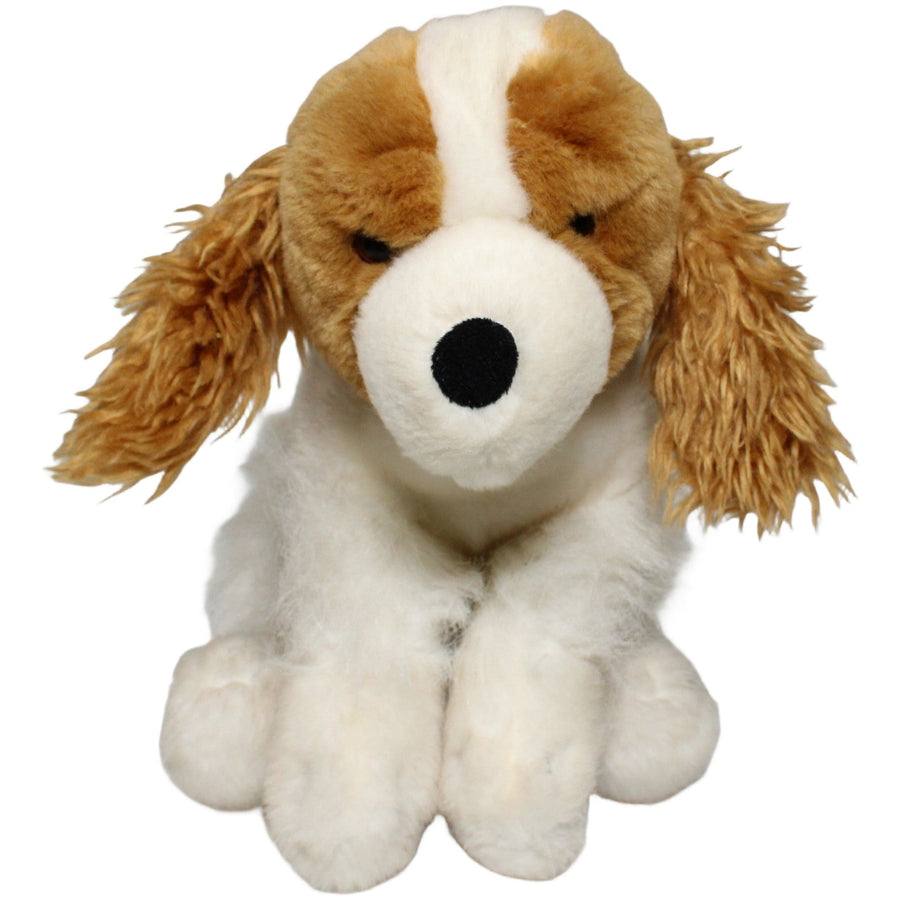 Cocker Spaniel