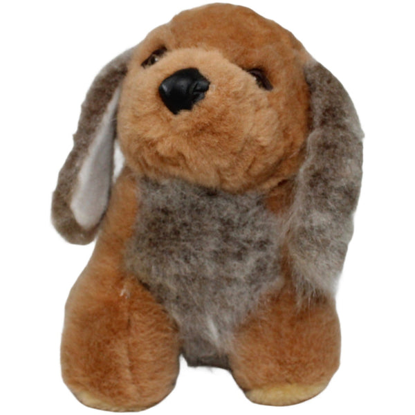 Schöner Hund sitzend, braun