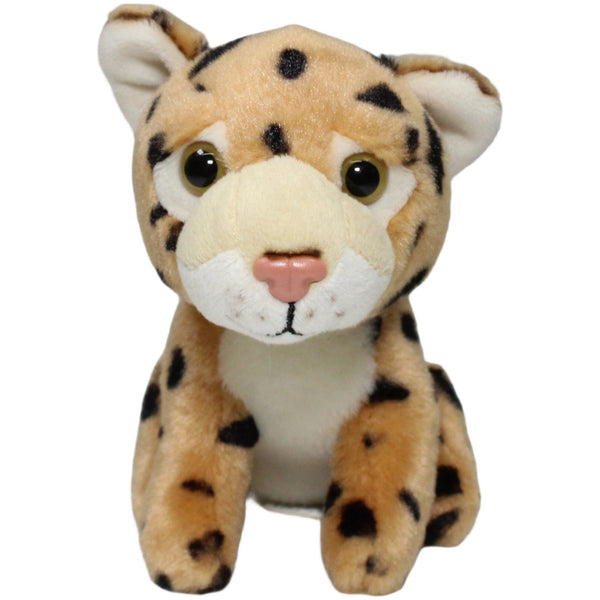 Süßer kleiner Gepard