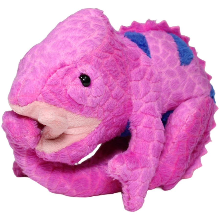 Chamäleon, pink