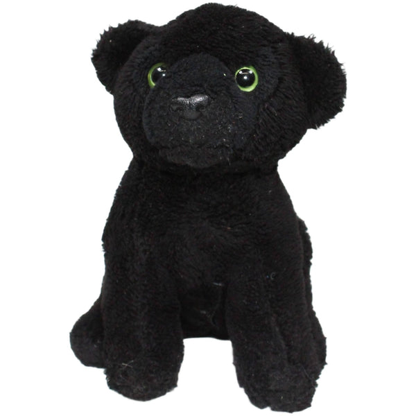Leosco, Schwarzer Panther mit Sound