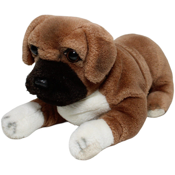 Süßer Boxer, liegend