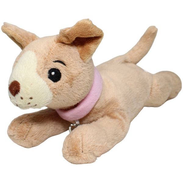 Chihuahua mit rosa Halsband und Herz-Anhänger