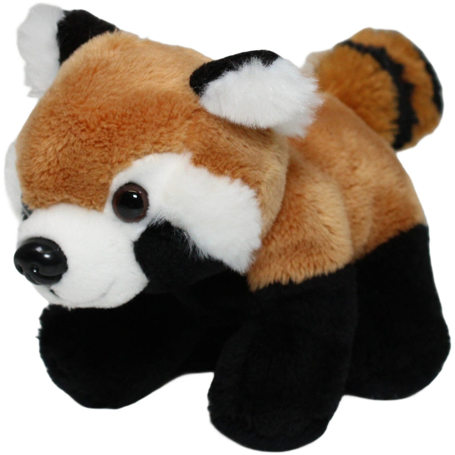 Süßer roter Panda, stehend